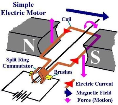 showing the structure of a simple d.c electric motor