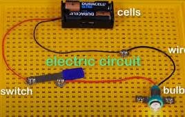 Arrangement of cells: Easy introduction 1