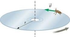 Uniform circular motion: Easy concise discussion with 5 examples