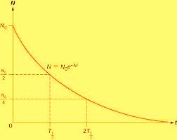 The decay law