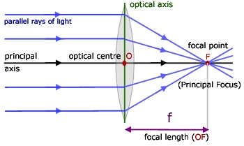Illustrating various parts that causes language of thin lenses