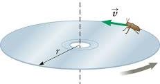 Uniform circular motion with 5 examples
